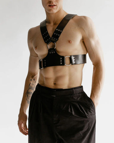 Black Arwin Harness