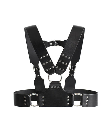 Black Arwin Harness